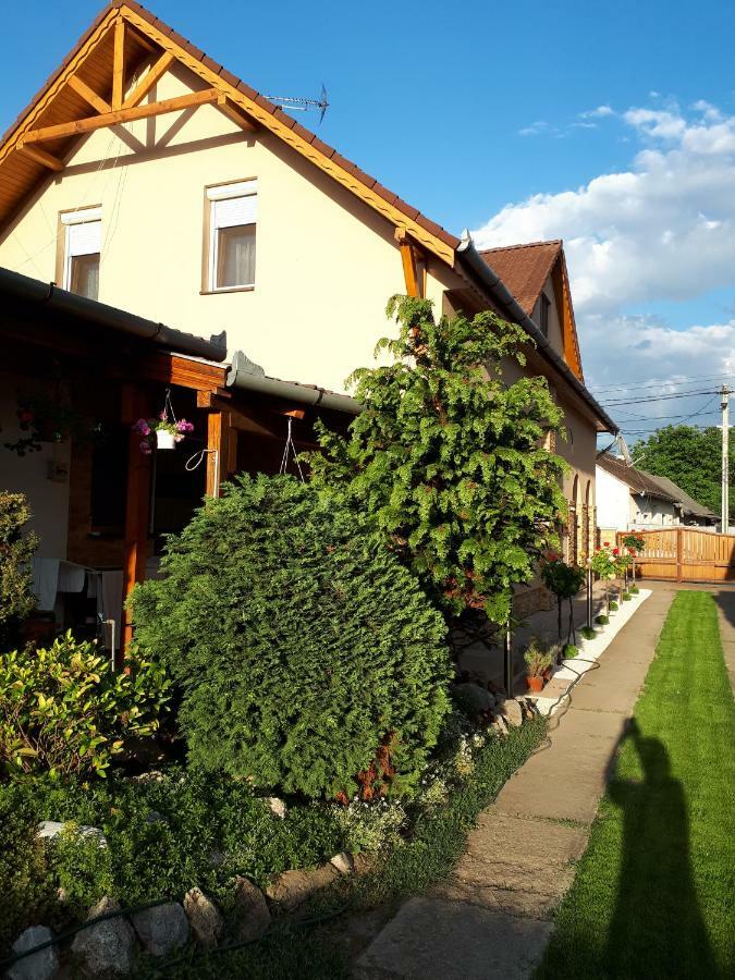 Anna Bathory Apartmanhaz Hajdúszoboszló Zewnętrze zdjęcie